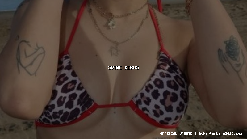 sotwe keras sotwe keras