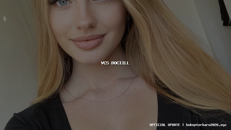 vcs bociill vcs bociill
